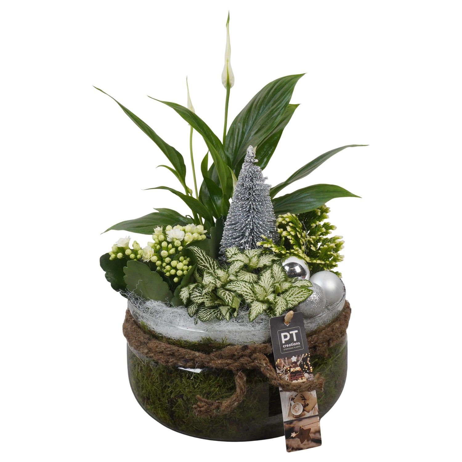 PTCHW4374 Arrangement Christmas White in glas schaal, D 19 cm