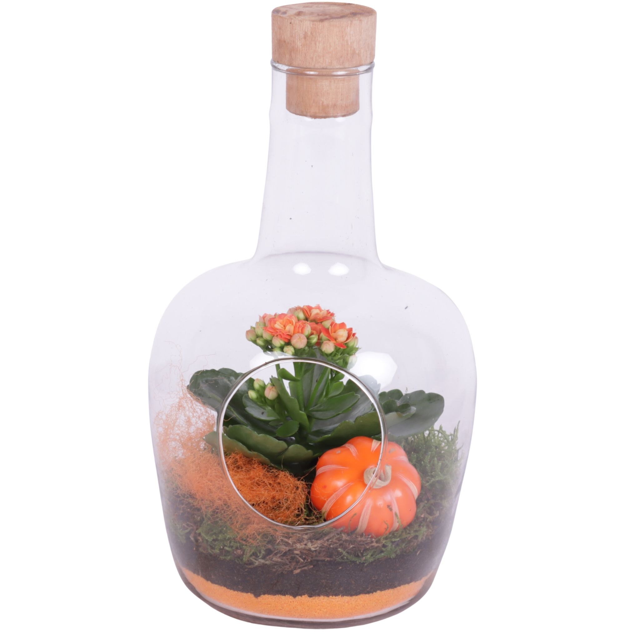 Halloween Arr. Indoor Glass Vase with Hole Ø15cm 1PP, D 15 cm Halloween Arr. Indoor Glass Vase with Hole Ø15cm 1PP, D 15 cm