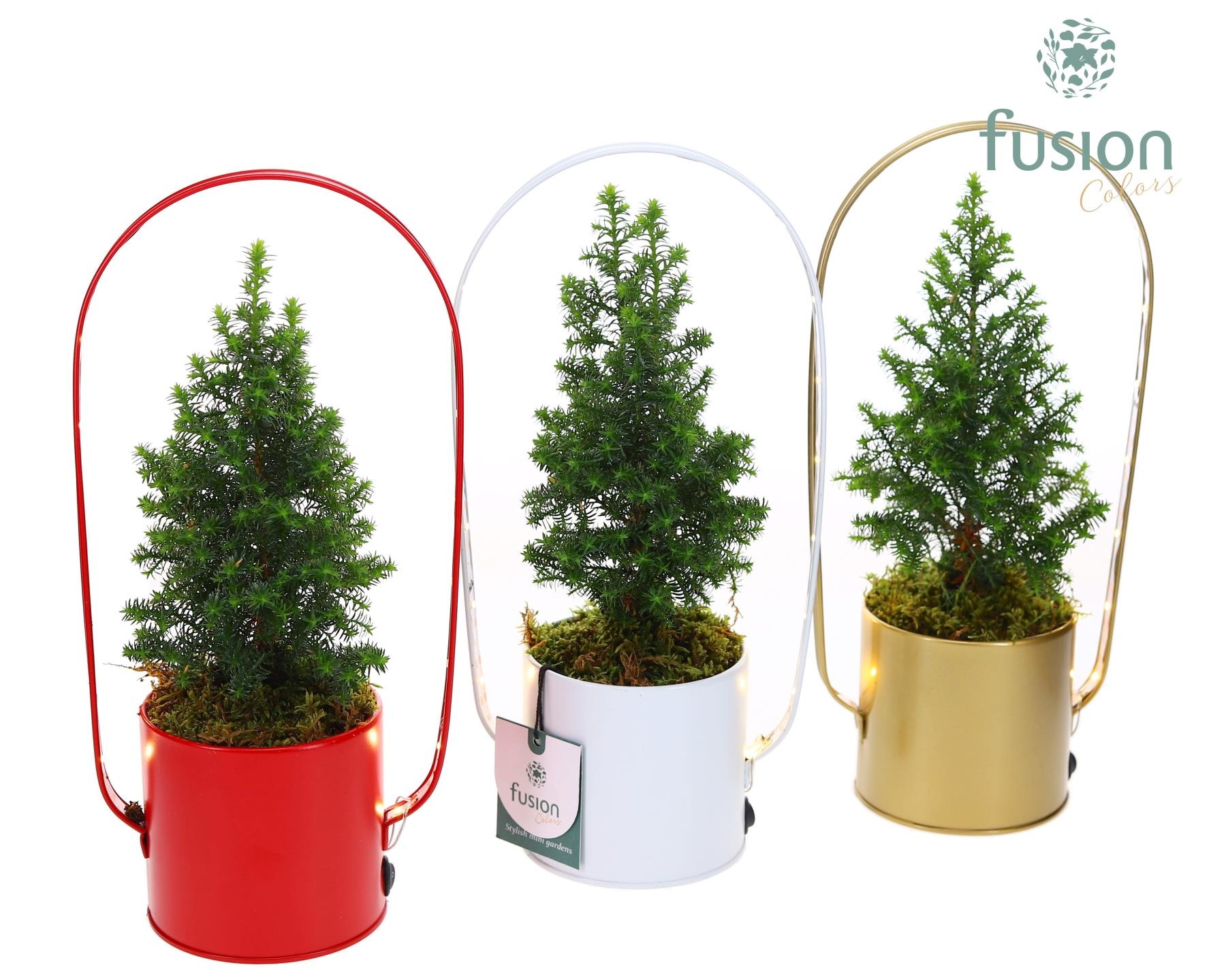 LED planter zink boog Kerst met Top Point, D 9 cm