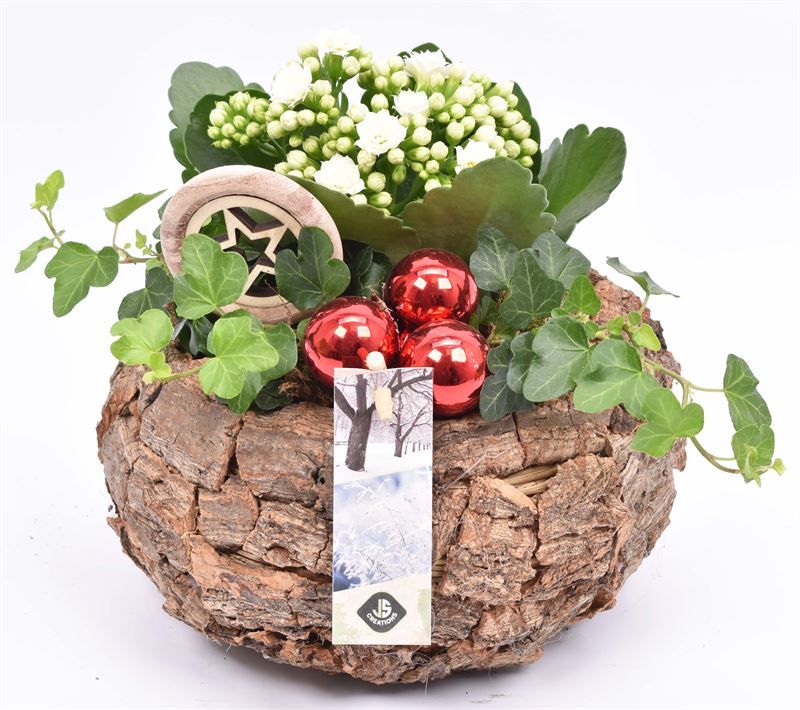 Bomschors rond 13x18cm, D 13 cm Bomschors rond 13x18cm, D 13 cm