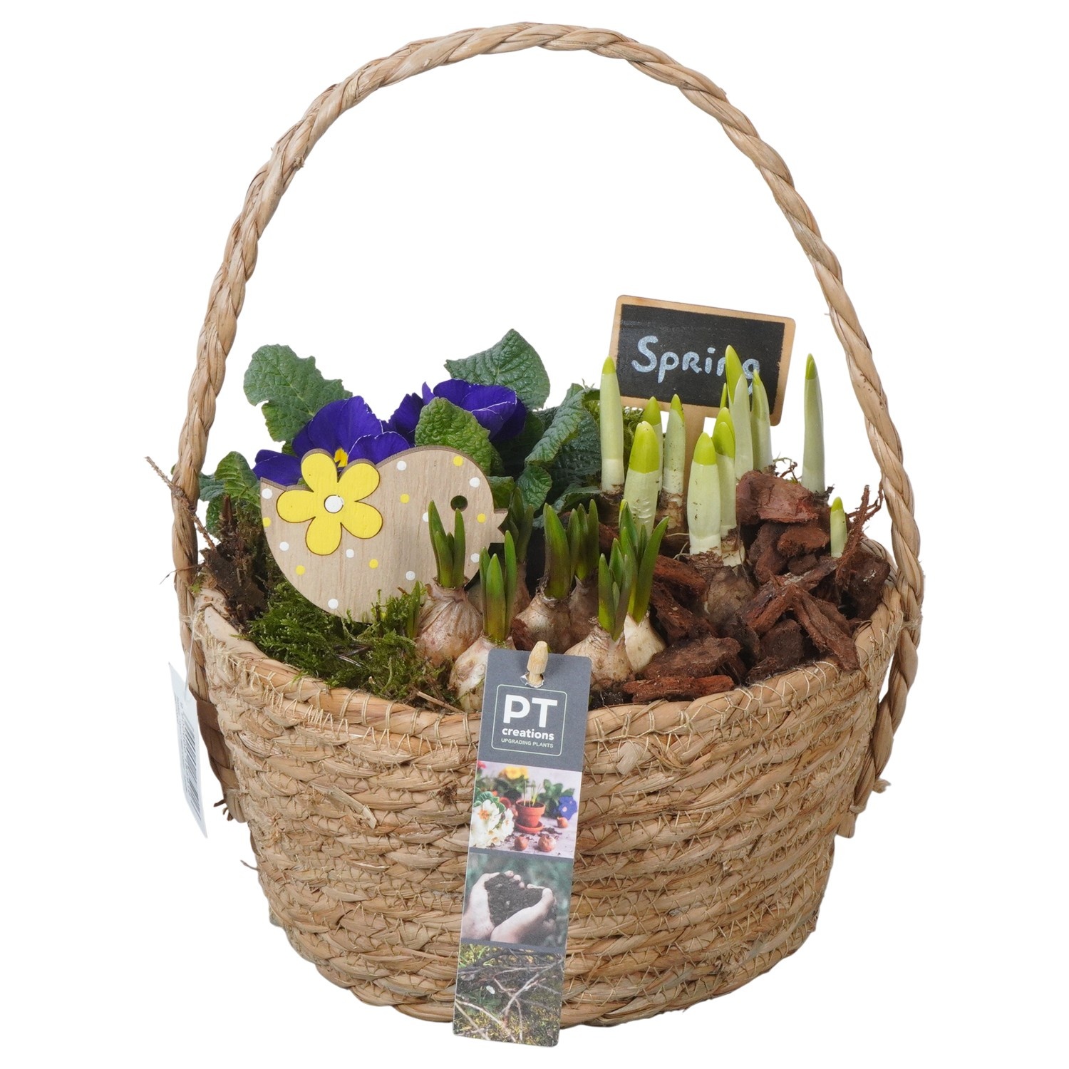 PTBM3806 Arrangement Flower Bulbs Mix in rieten mand, D 22