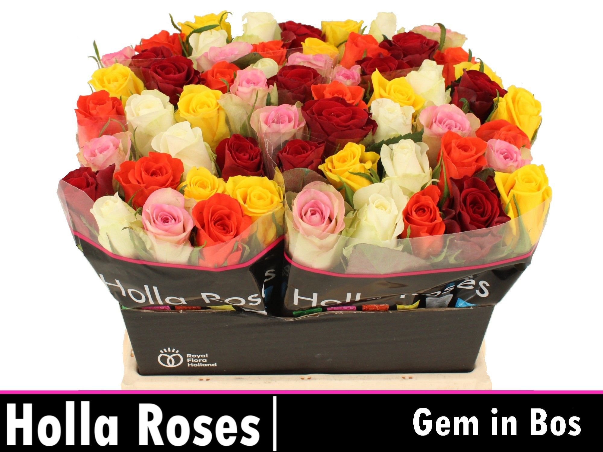 Роза од. Микс в пачке 40, шт.