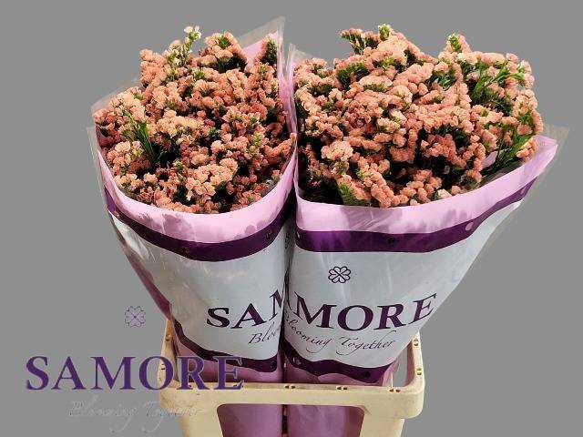 Статица Роял Оранж 80, шт.