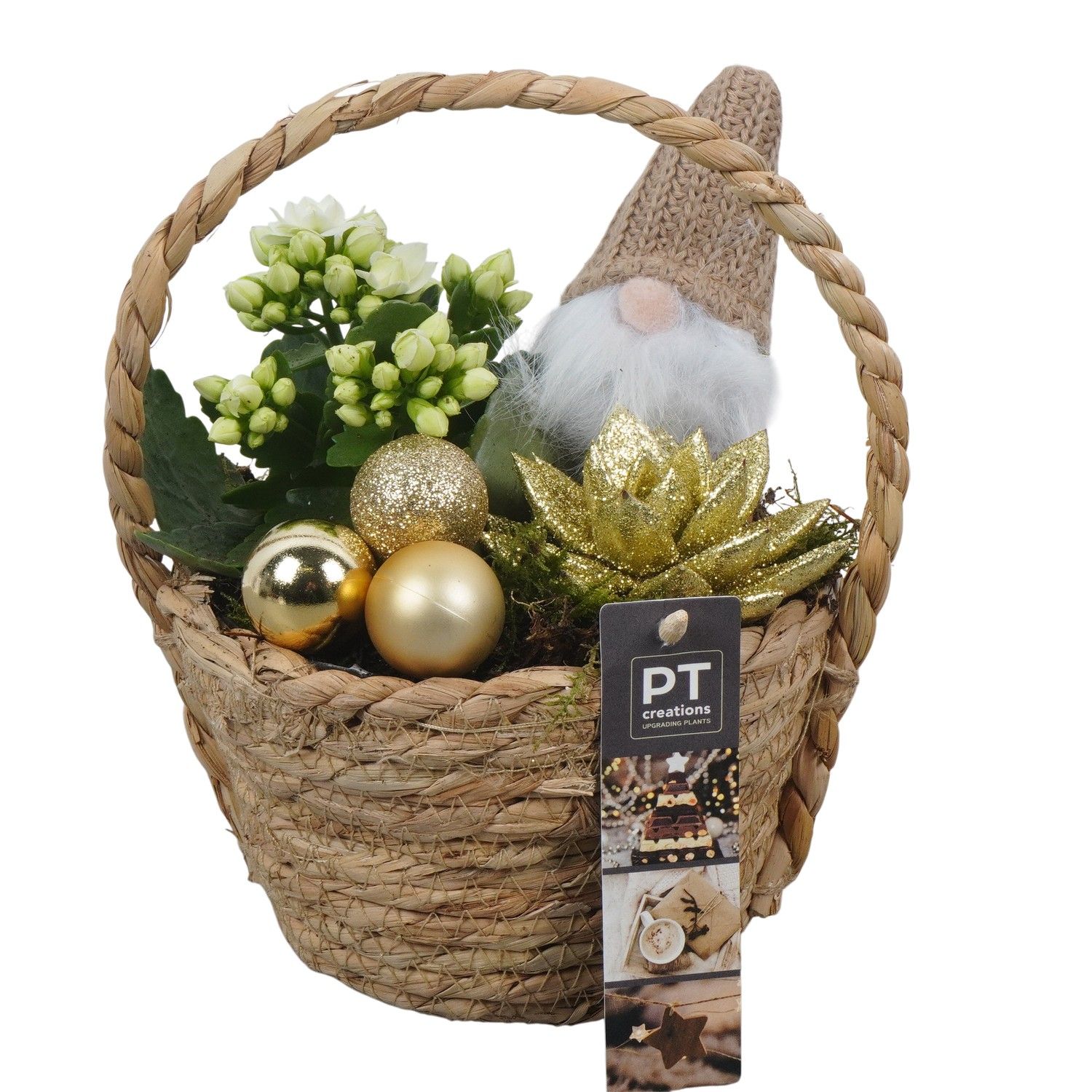 PTCHG5684 Arrangement Christmas Gold in rieten mand, D 15 cm