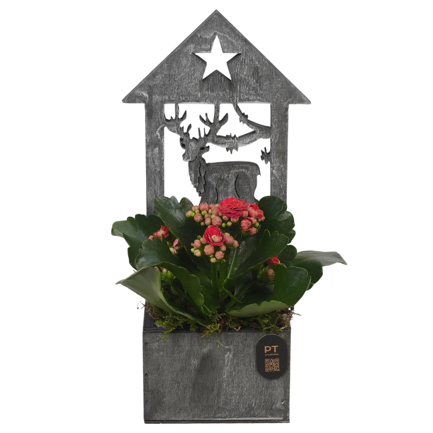 PTCHR9642 Arrangement Christmas Red in houten bak, D 9