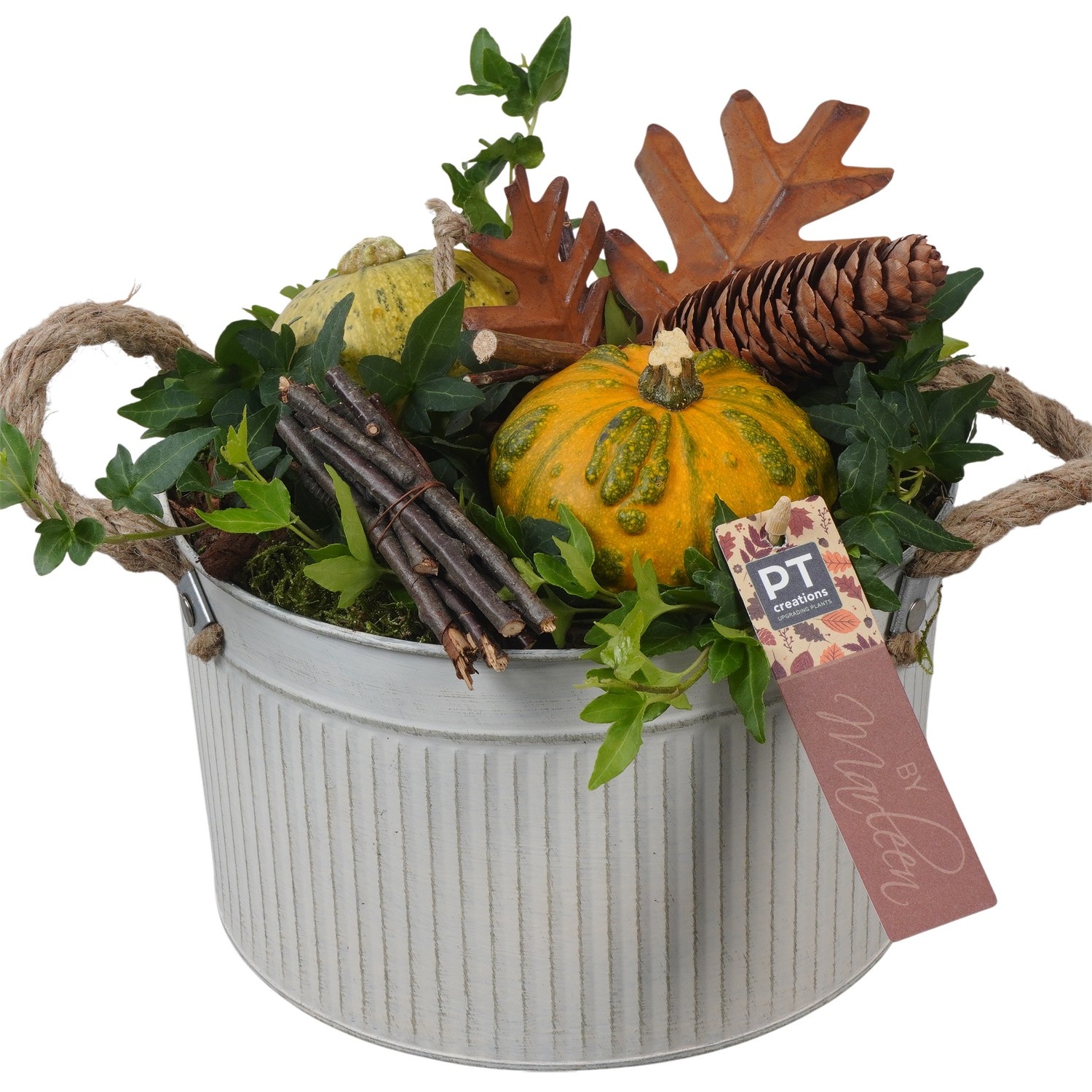 PTSF8220 Arrangement Kalebas hedera in metalen pot, D 21 cm