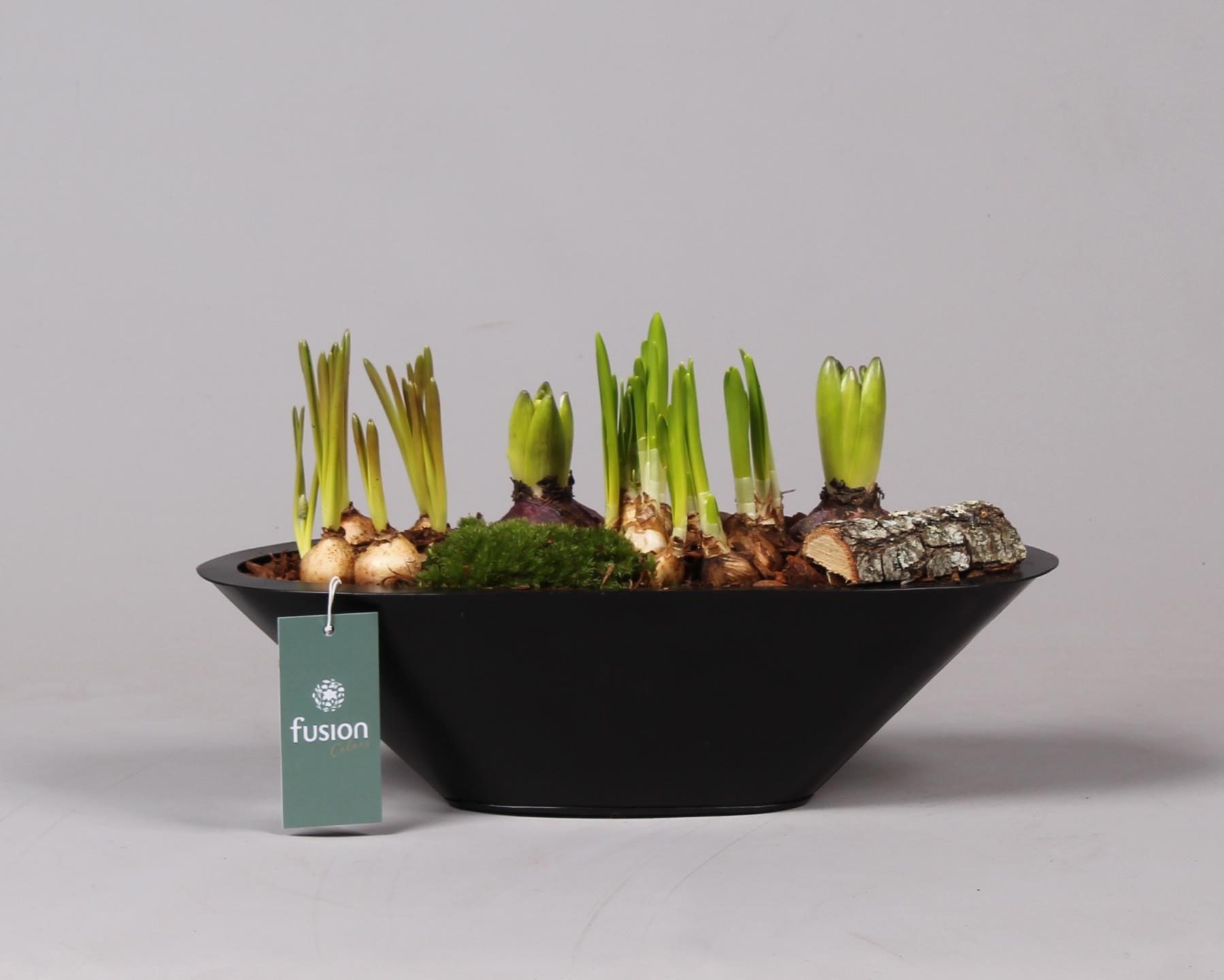 Metalen bootvorm pot met, D 35