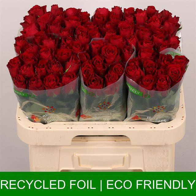 Роза од. Мадам Рэд 60, шт.