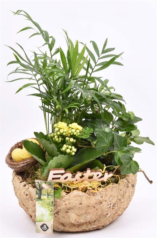 Cement ei schaal kip decor 18cm, D 18