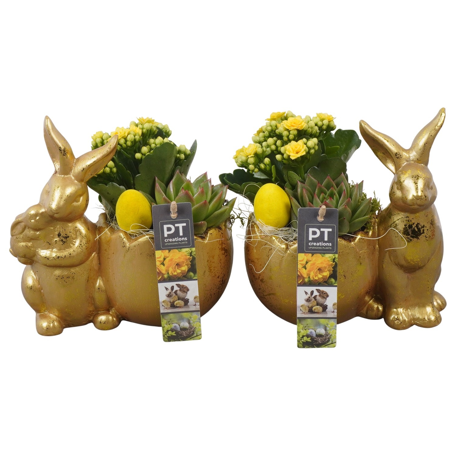 PTPB6502 Arrangement Easter in keramiek pot, D 18