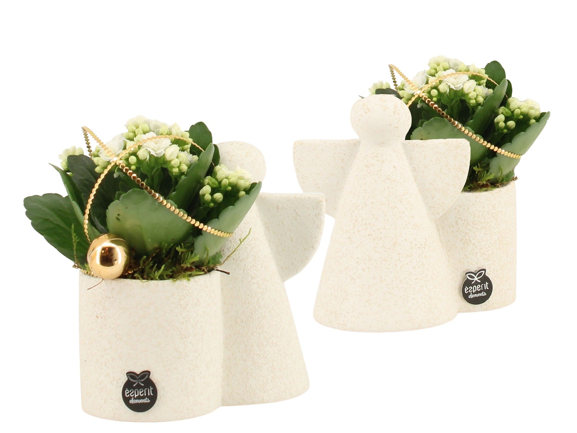 61900: X-mas arrangement, D 15