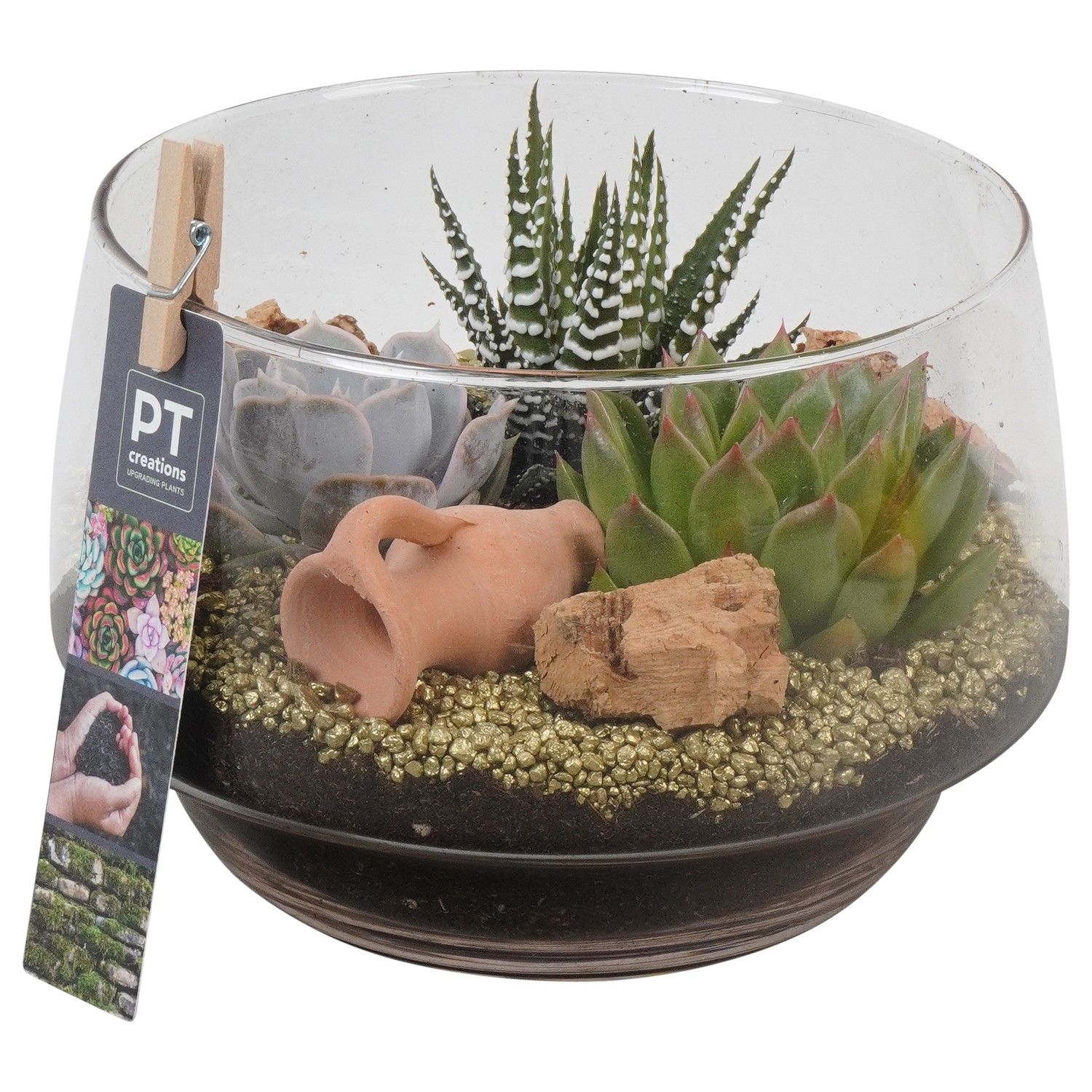 PTSU8412 Arrangement Succulenten in glazen vaas, D 17 cm