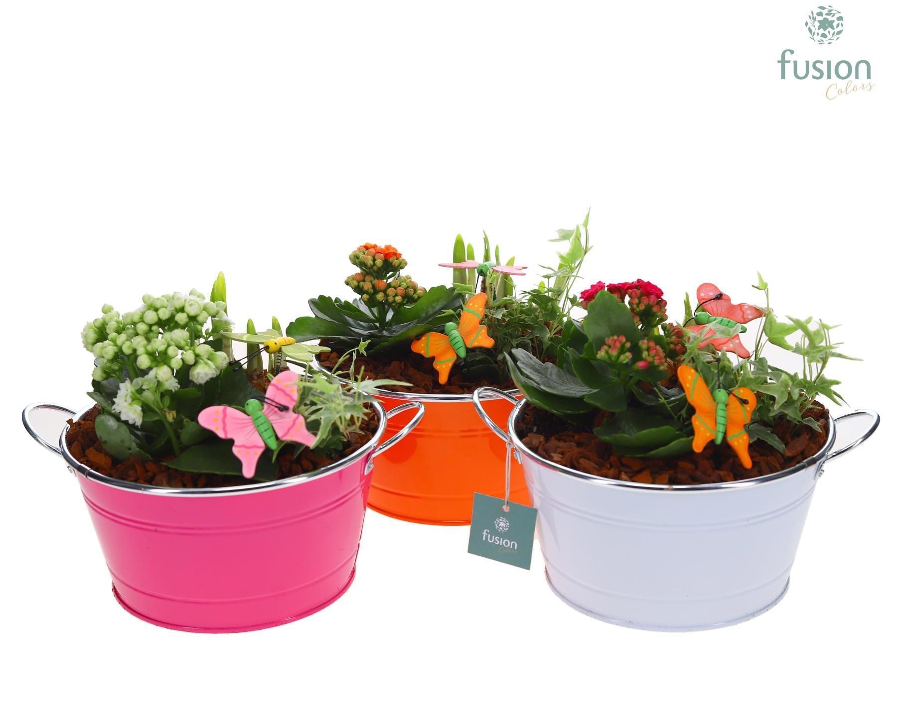 Schaal zink rond Voorjaar Medium met Arrangement, D 20