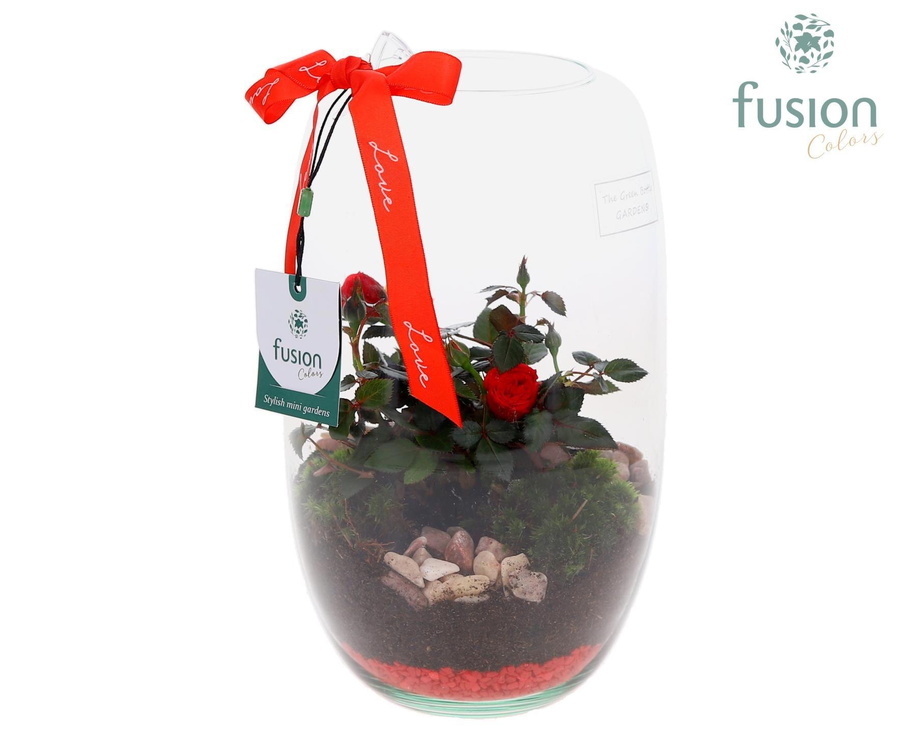 Green Bottle Isabella Medium Love met Potroos, D 15