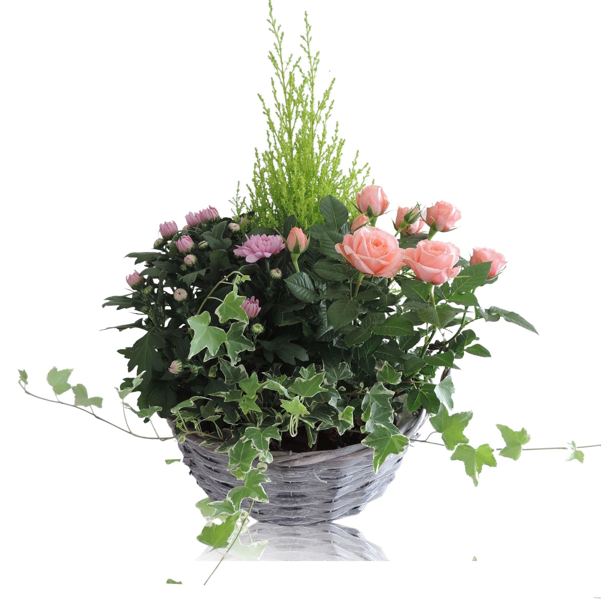 Arrangement in Mand Split Willow 29 cm, D 29