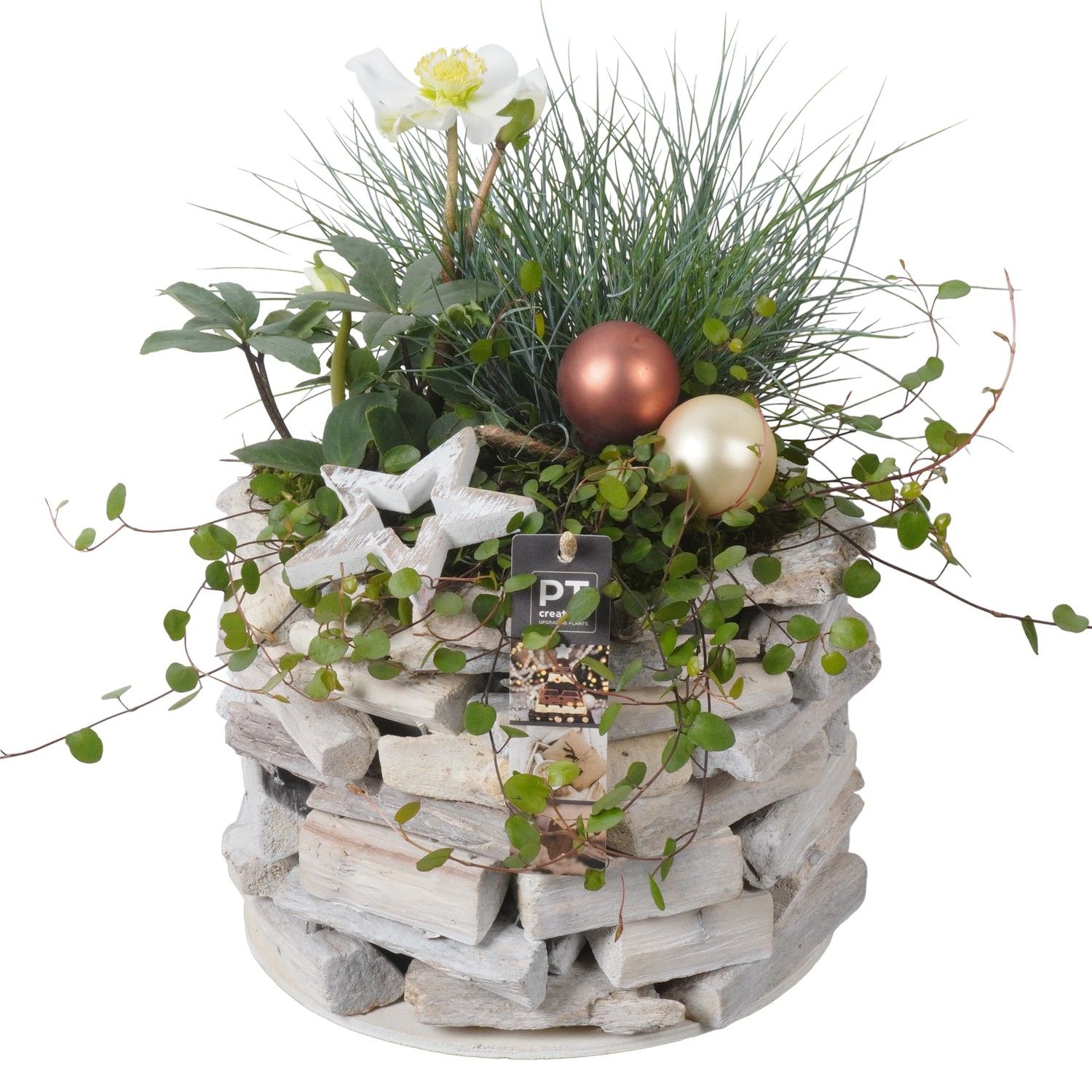 PTWO1913 Arrangement Winter Outdoor in houten bak, D 21 cm PTWO1913 Arrangement Winter Outdoor in houten bak, D 21 cm