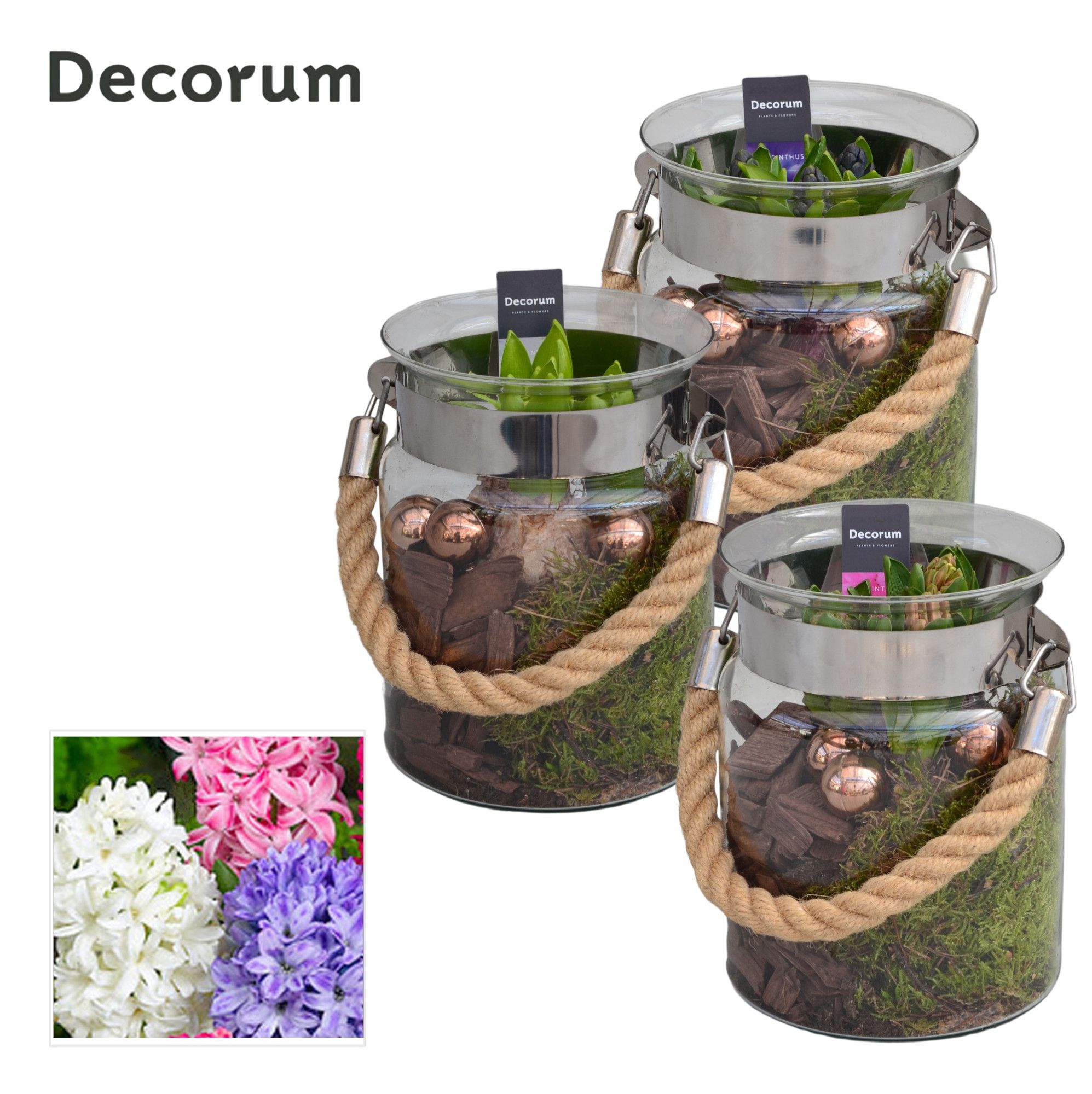 Hyacint Groot Glas met Touw HL13842 [PURE], D 15