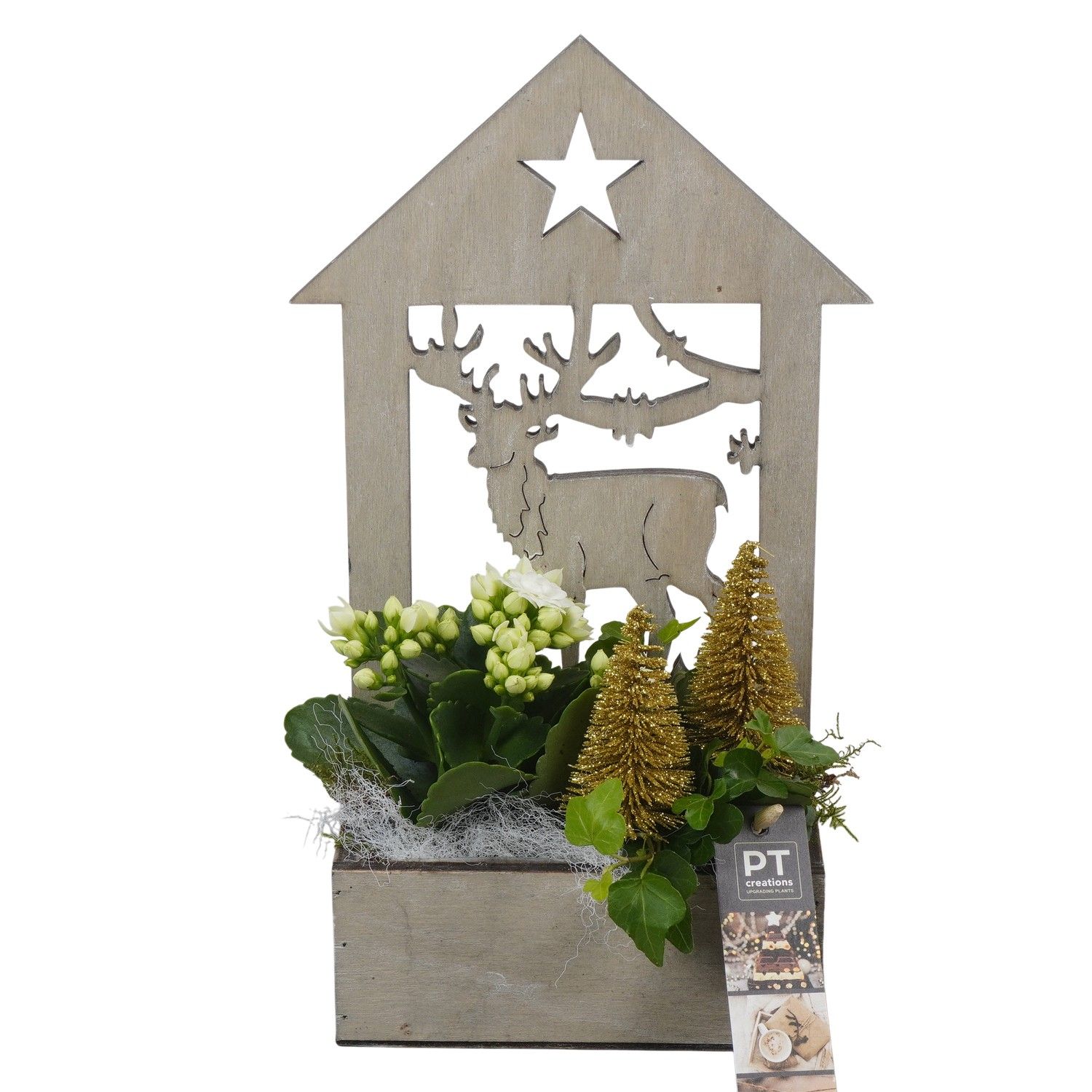 PTCHG5699 Arrangement Christmas Gold in houten bak, D 16 cm