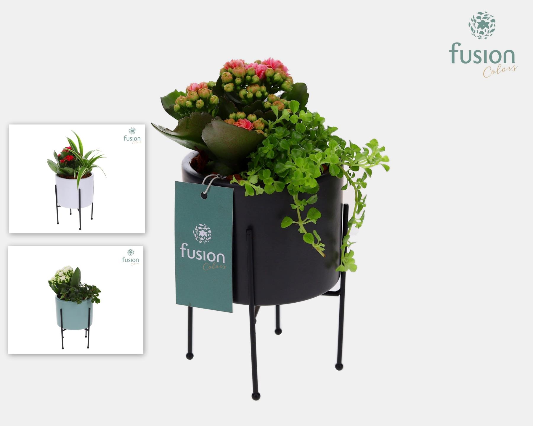 Keramieken potjes op metalen pootjes met Arrangement, D 10