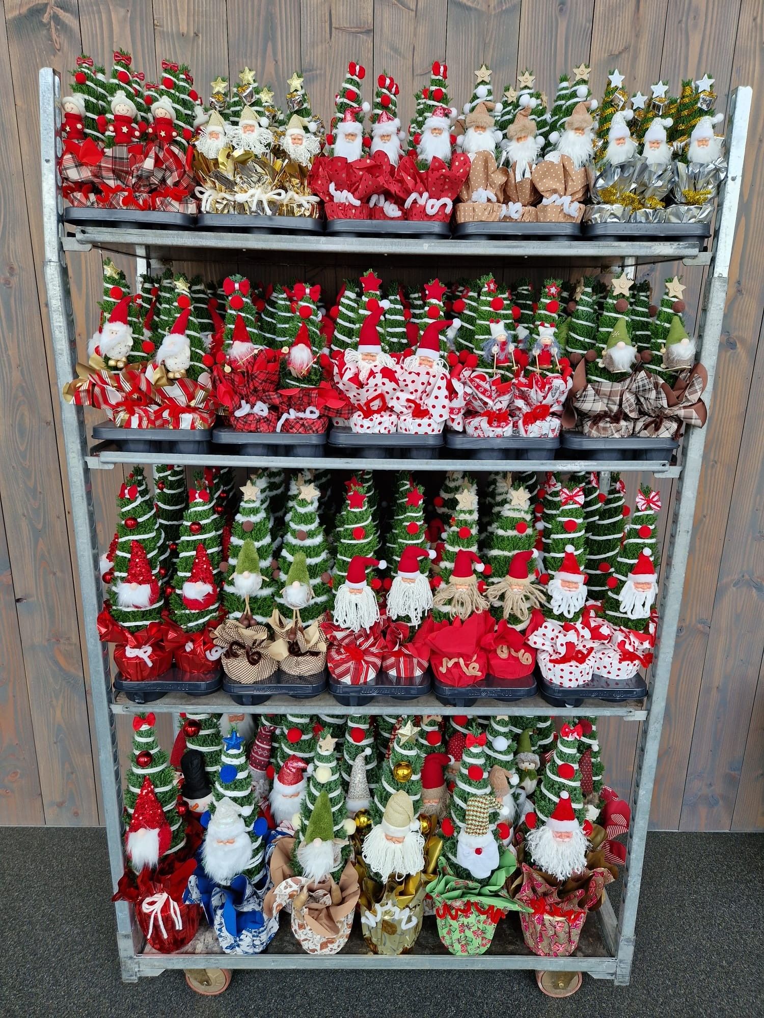 Christmas Puppets® - Chamaecyparis Ellwoodii | Mix CC, D 17 cm