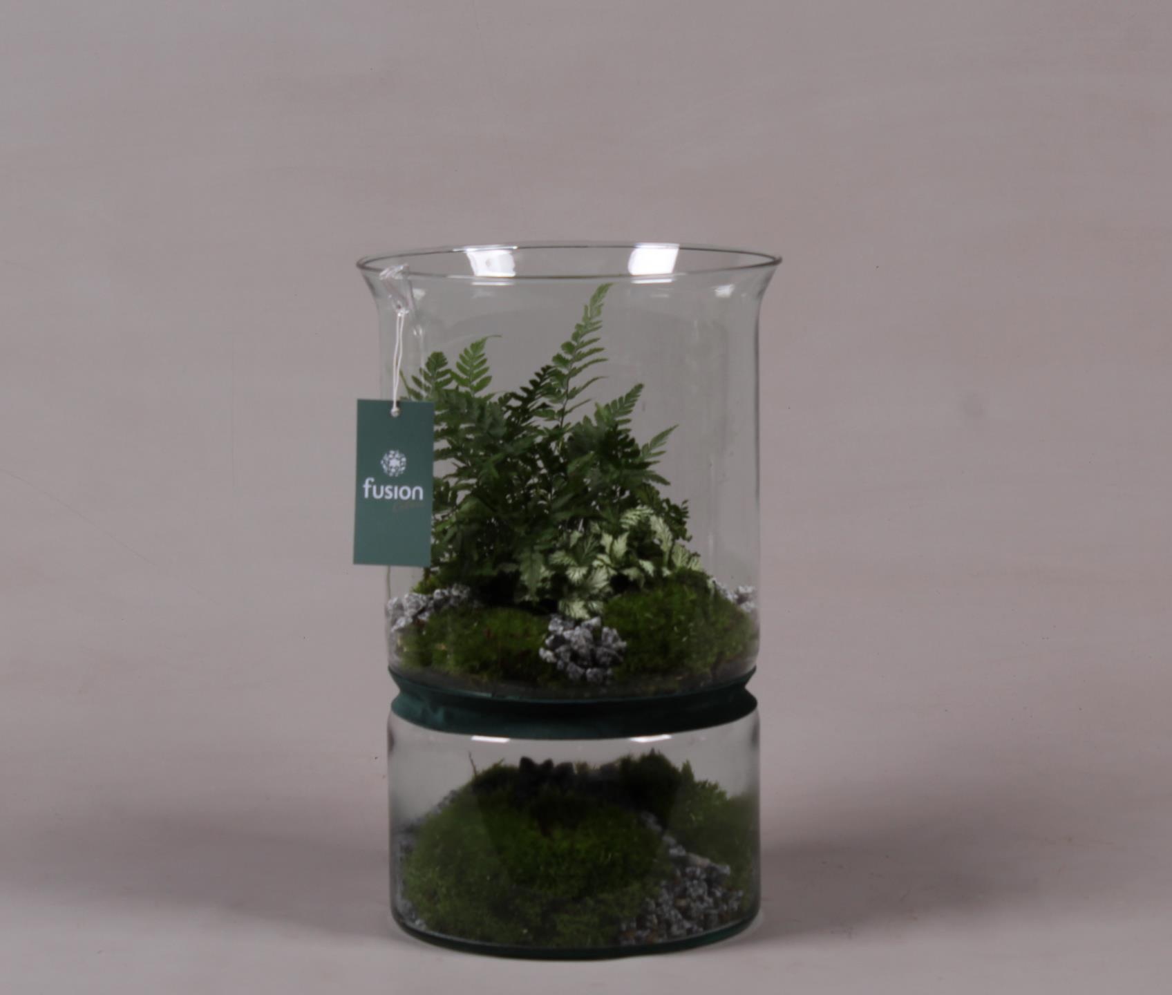 Green Bottle duopot XL met arrangement, D 22