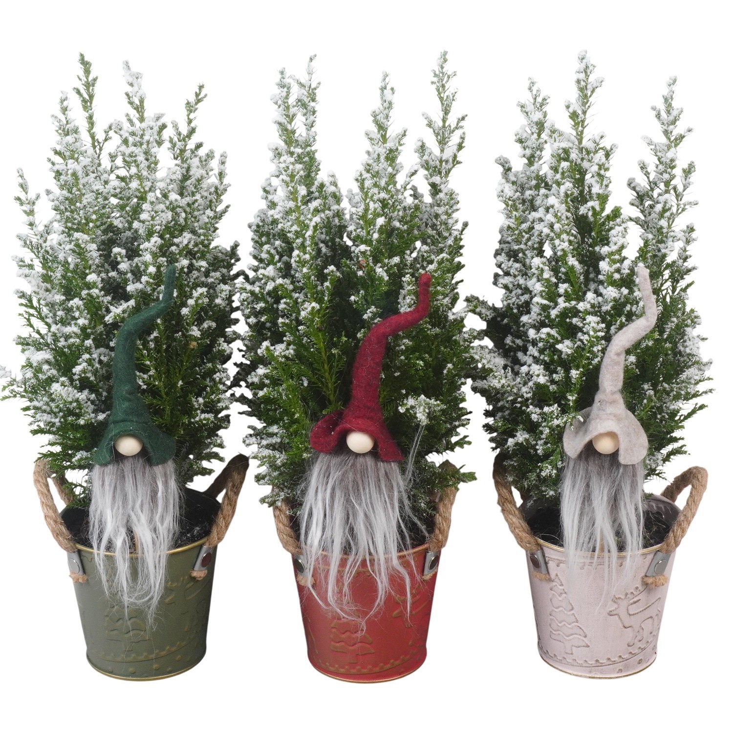 PTK26771 Ellwoodii met sneeuw in zink mix met decoratie, D 10