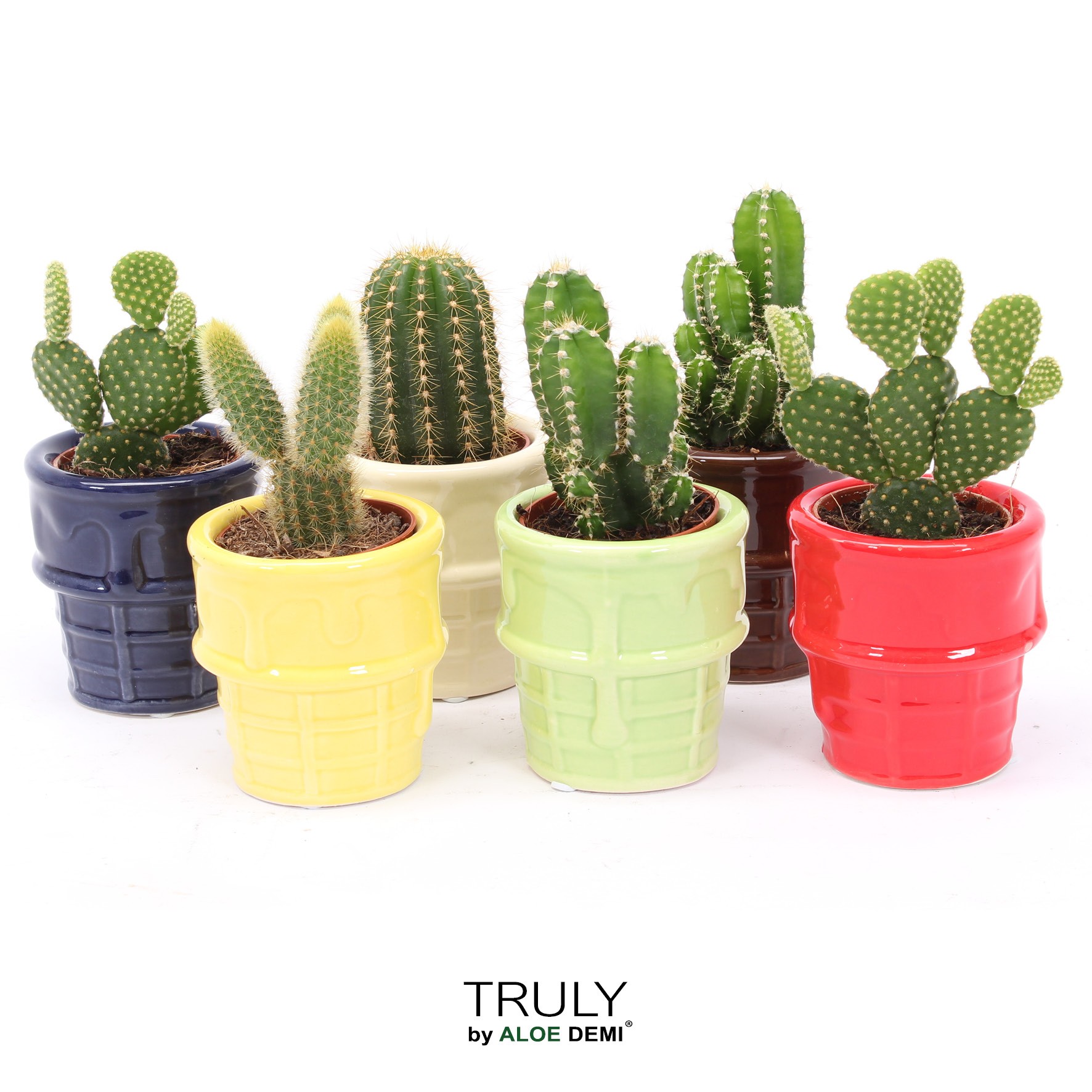 TRULY Cactus, ice cream, D 8