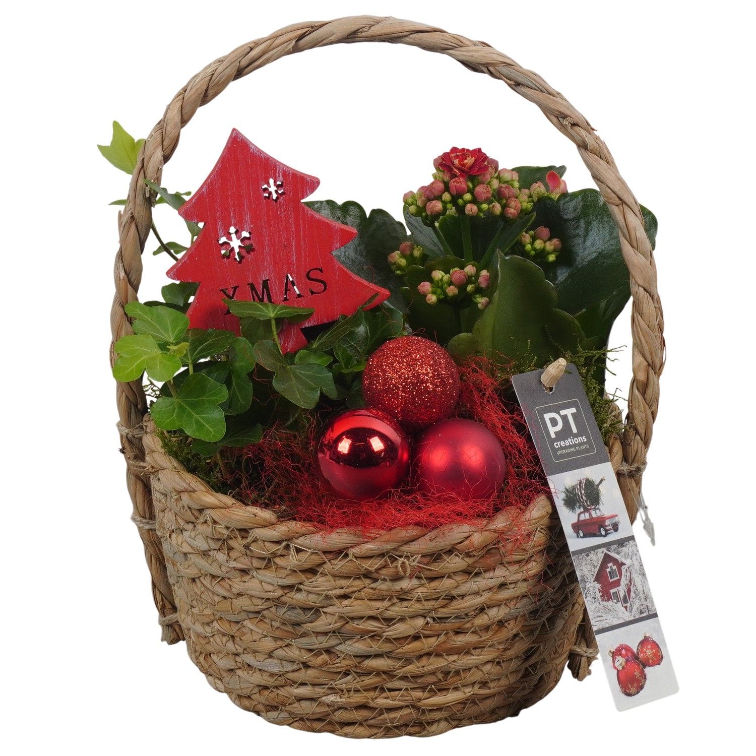 PTCHR7368 Arrangement Christmas Red in rieten mand, D 15 cm
