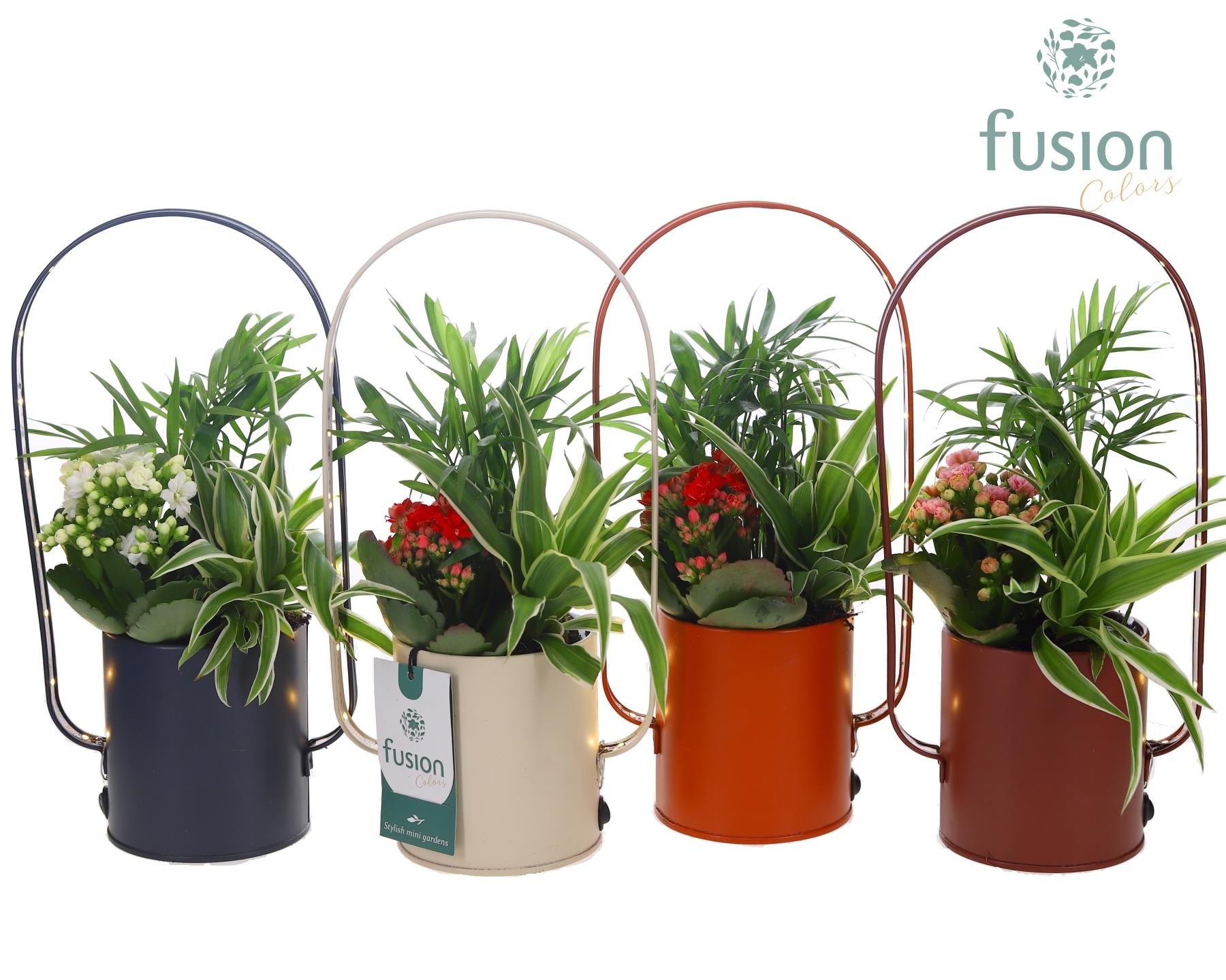 LED planter zink boog met arrangement, D 9