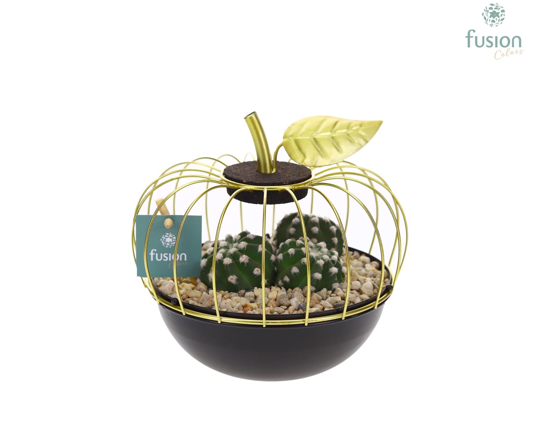 Metaal appel goudzwart Small met Cactus, D 17