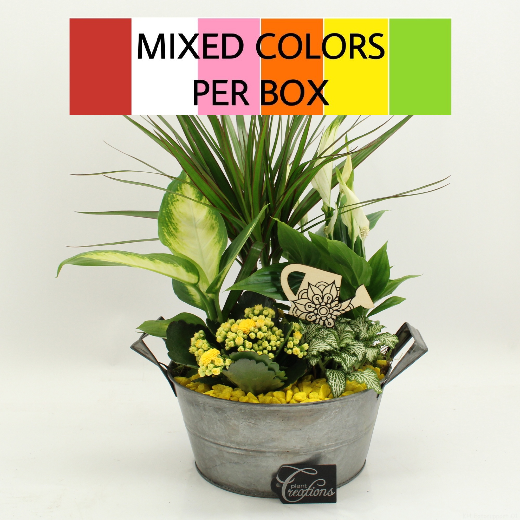 FDCR-2615M Basic Fundamentals, D 23