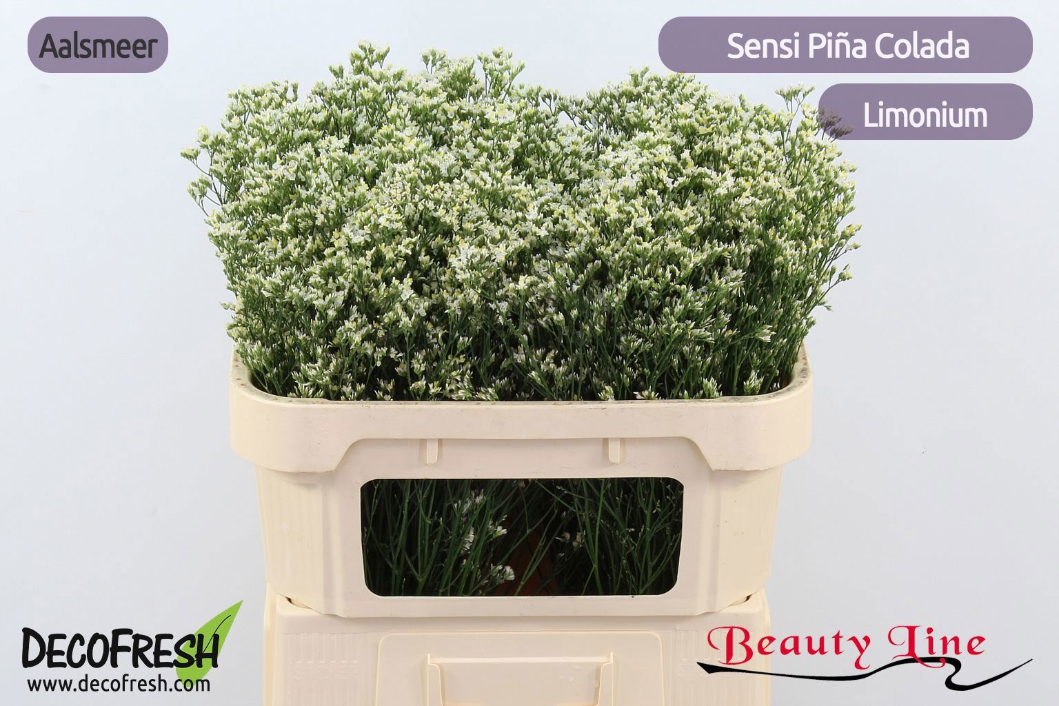 Лимониум Сенси Пина Колада 70, шт.