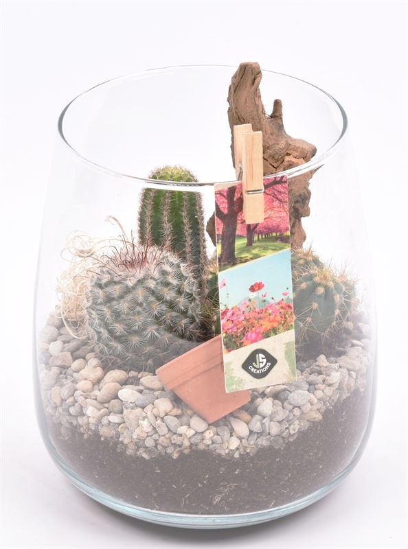 Glas vaas 14cm/ h 17cm, D 14