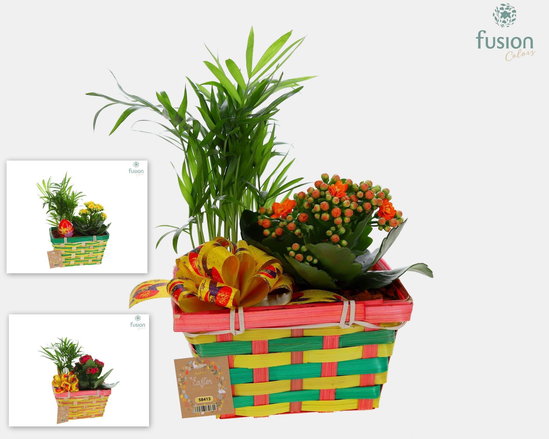 Pasen Rieten mand Met arrangement, D 16