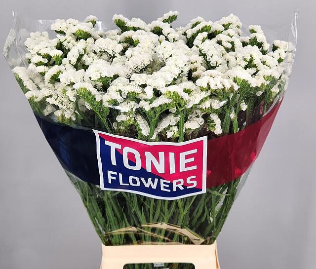 Статица Фрост Вингз 80, шт.