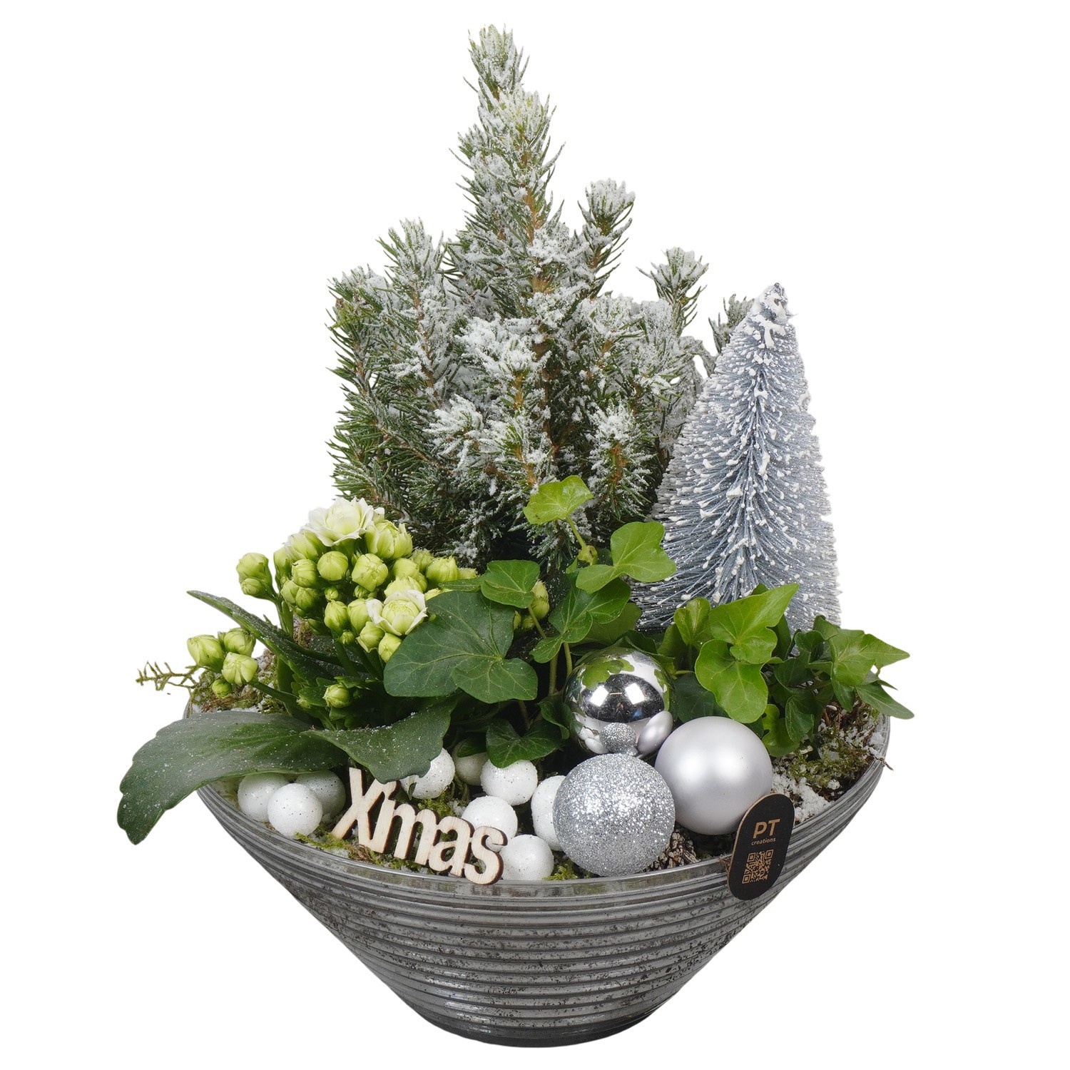 PTCHW7925 Arrangement Christmas White in glas schaal, D 19