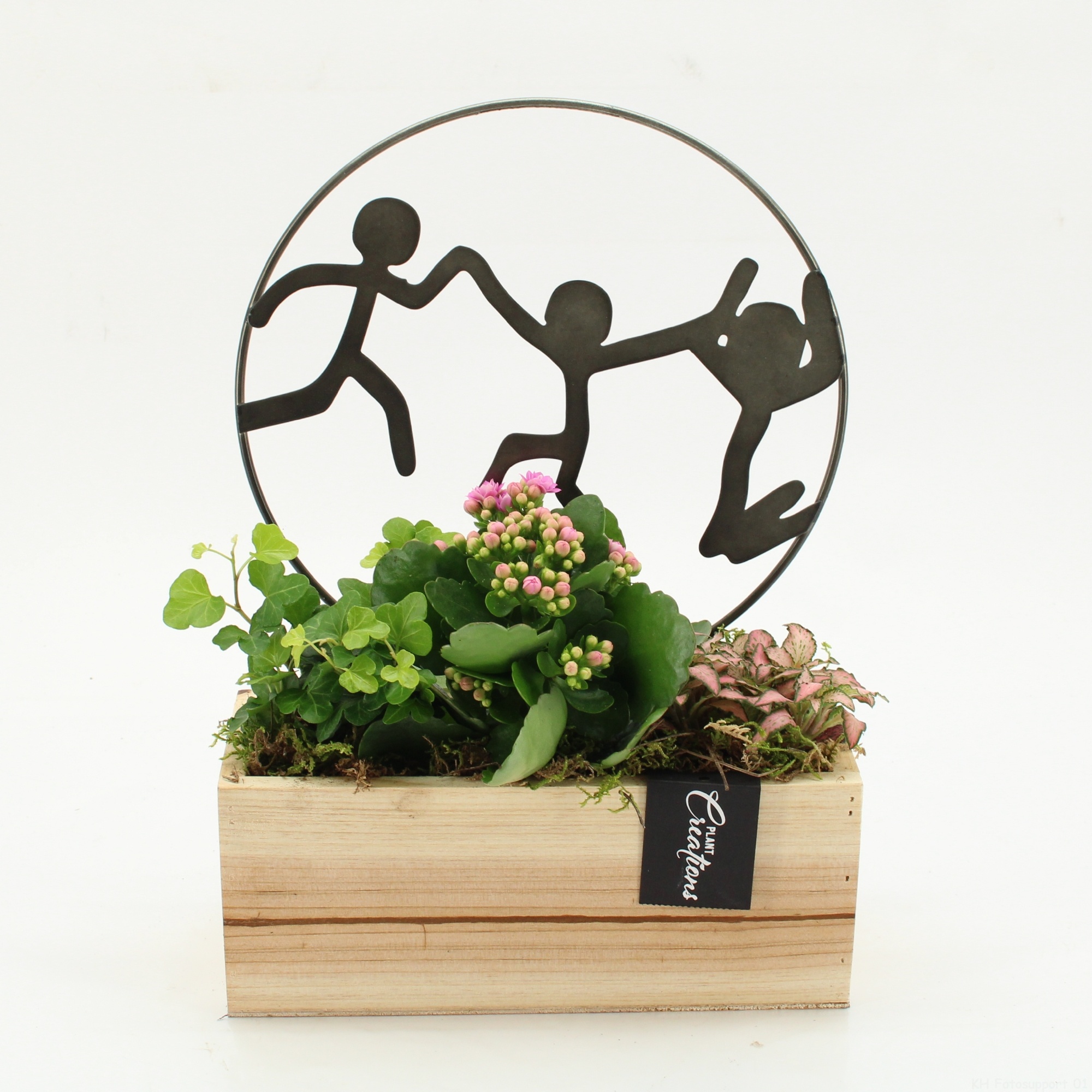 HCCR-2511 Holiday Colors, D 23 cm