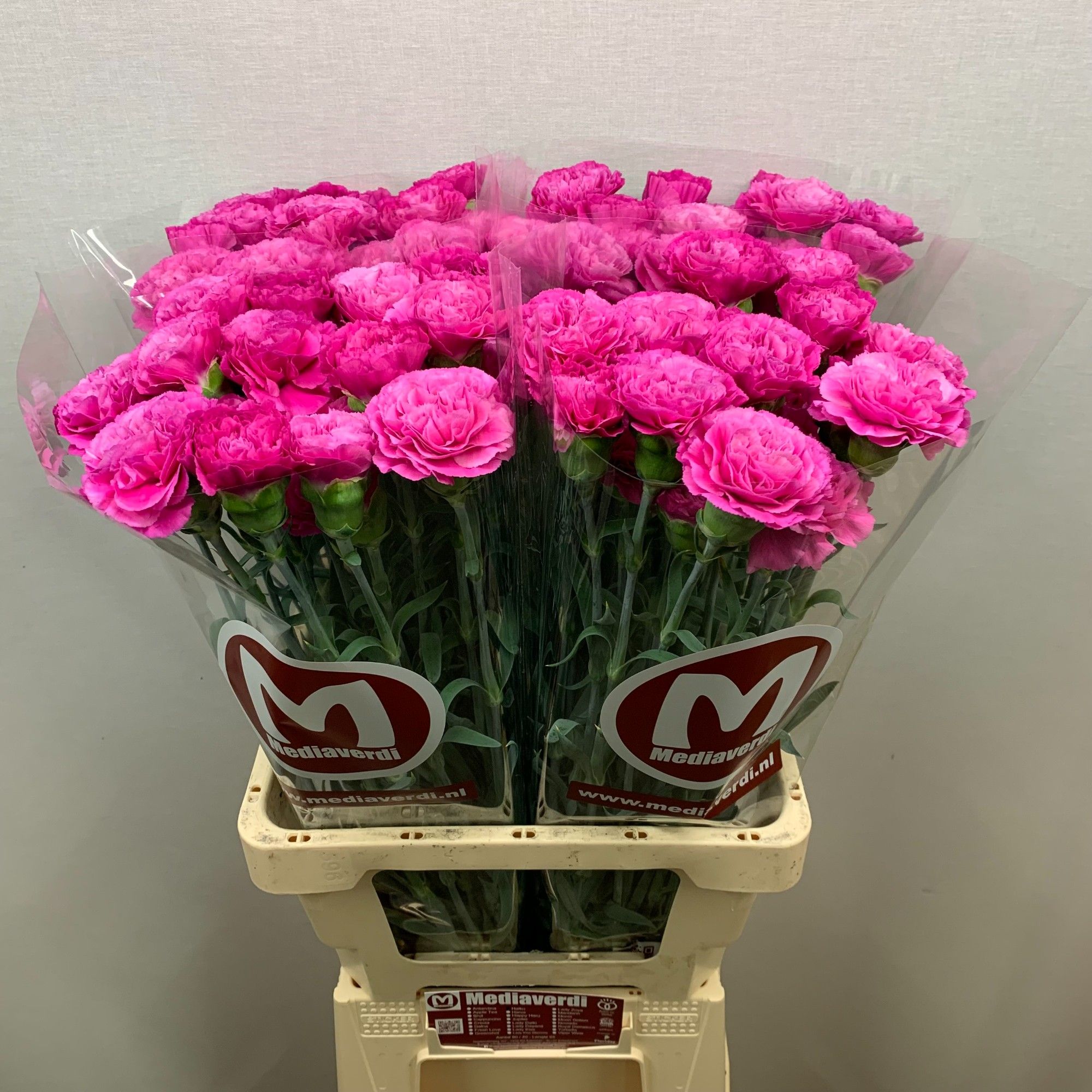 Диантус од. Хайку, шт.