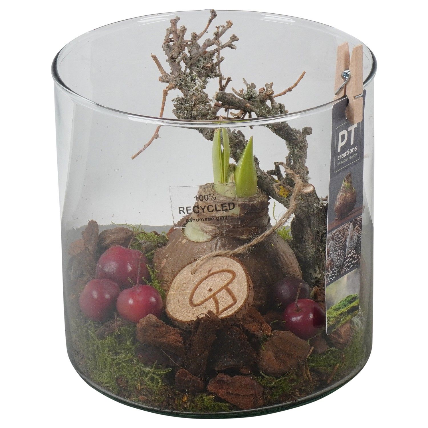 PTAA7589 Arrangement Amaryllis in glazen vaas, D 15 cm