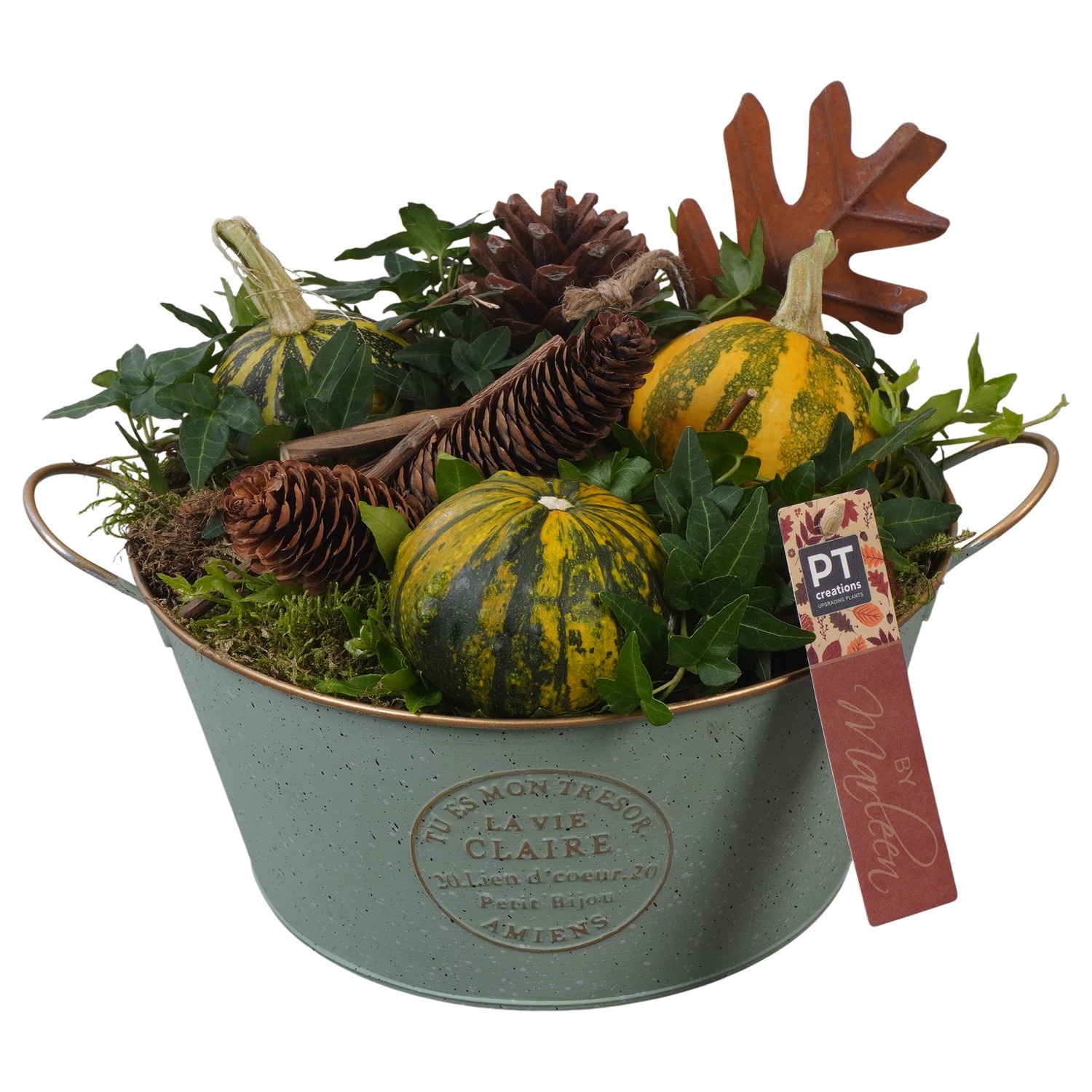 PTSF8218 Arrangement Kalebas hedera in metalen pot, D 23 cm