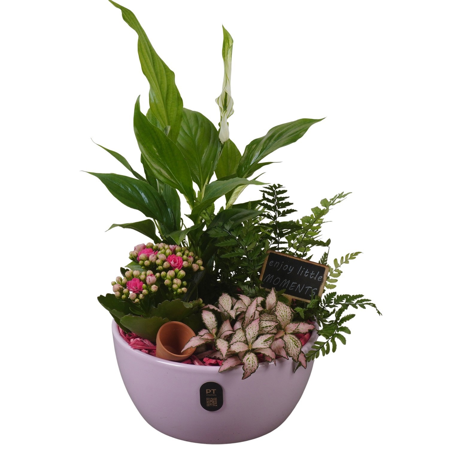 PTIB5136 Arrangement Indoor in keramiek schaal, D 18