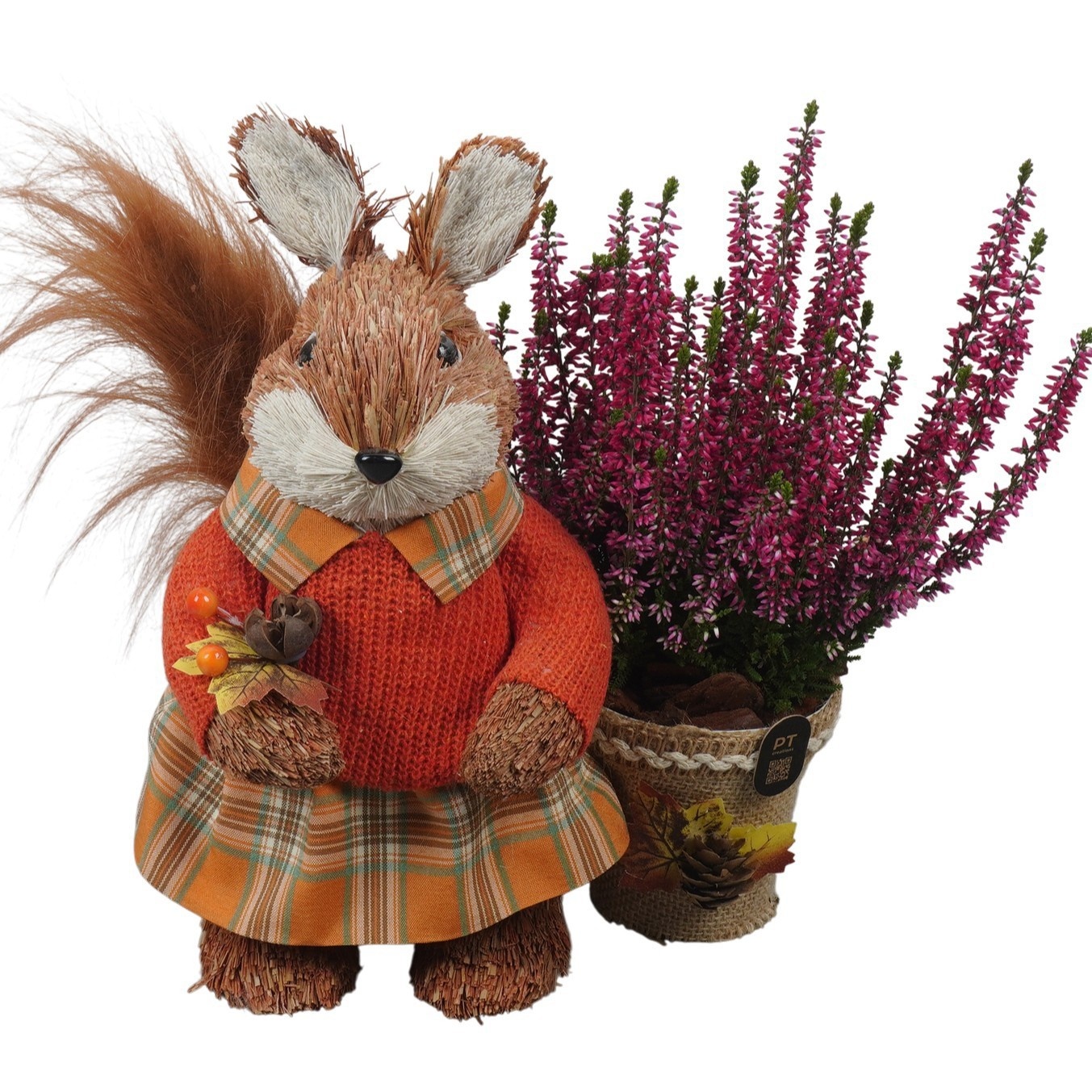 PTHO7633 Arrangement Autumn Outdoor in stro pot in eekhoorn vorm, D 24