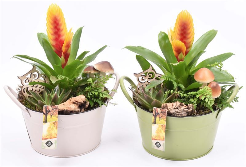 Zink schaal kleur mix 20 cm, D 20