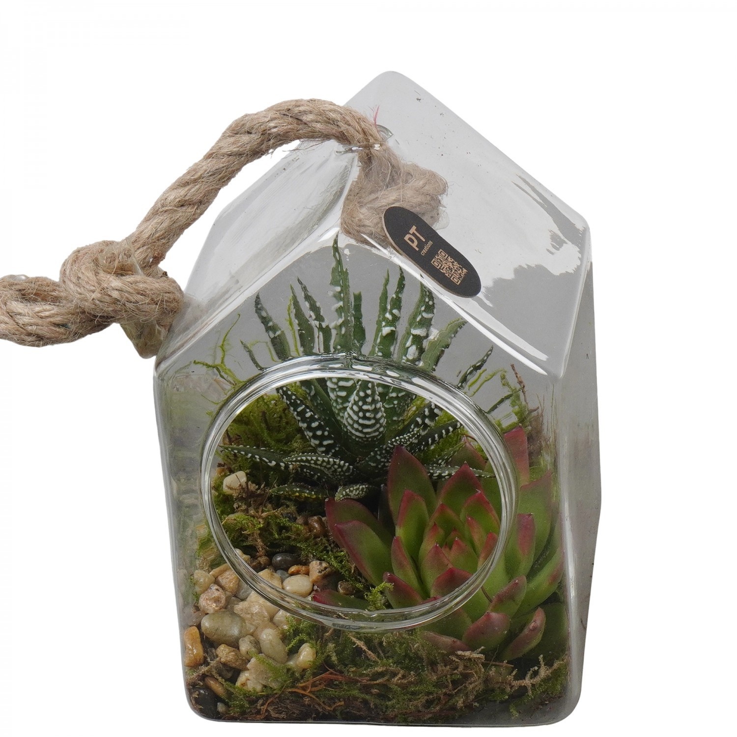 PTIG2705 Arrangement Indoor in glazen vaasje, D 10