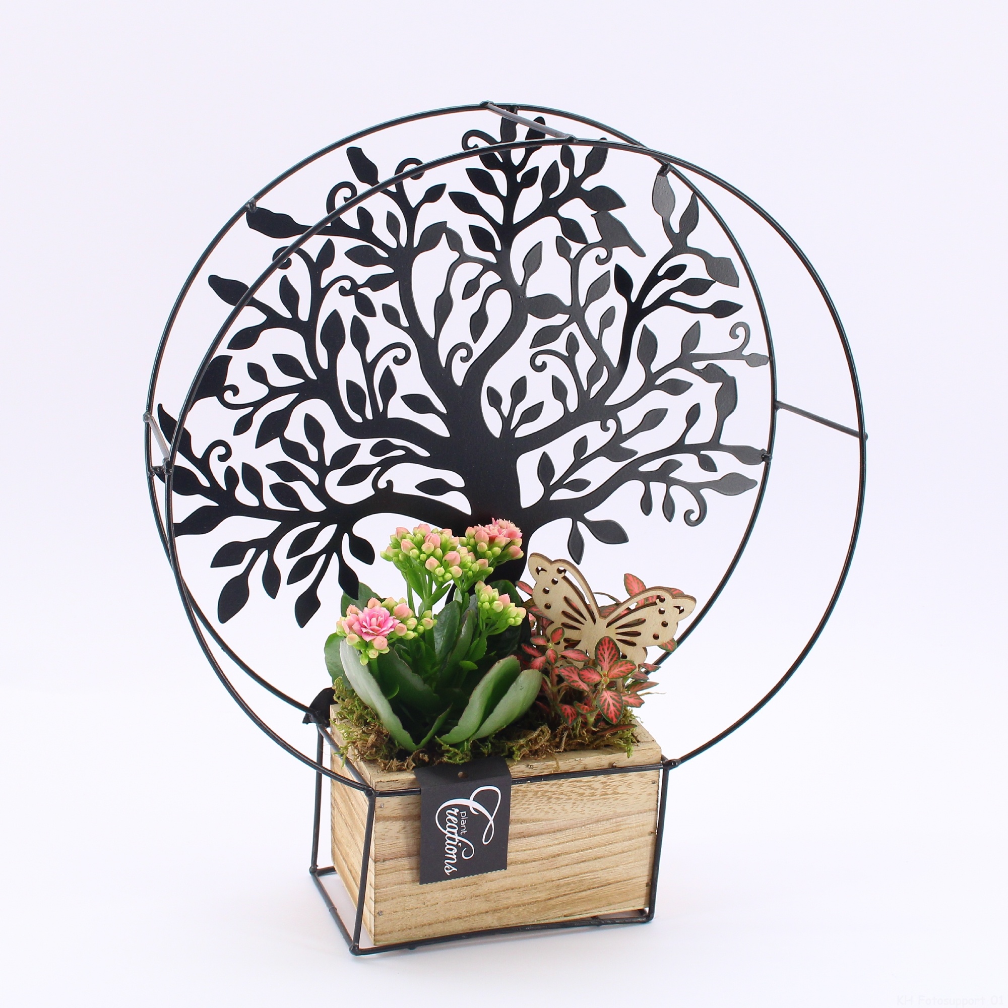 ESCR-2608RZ Essentials, D 30