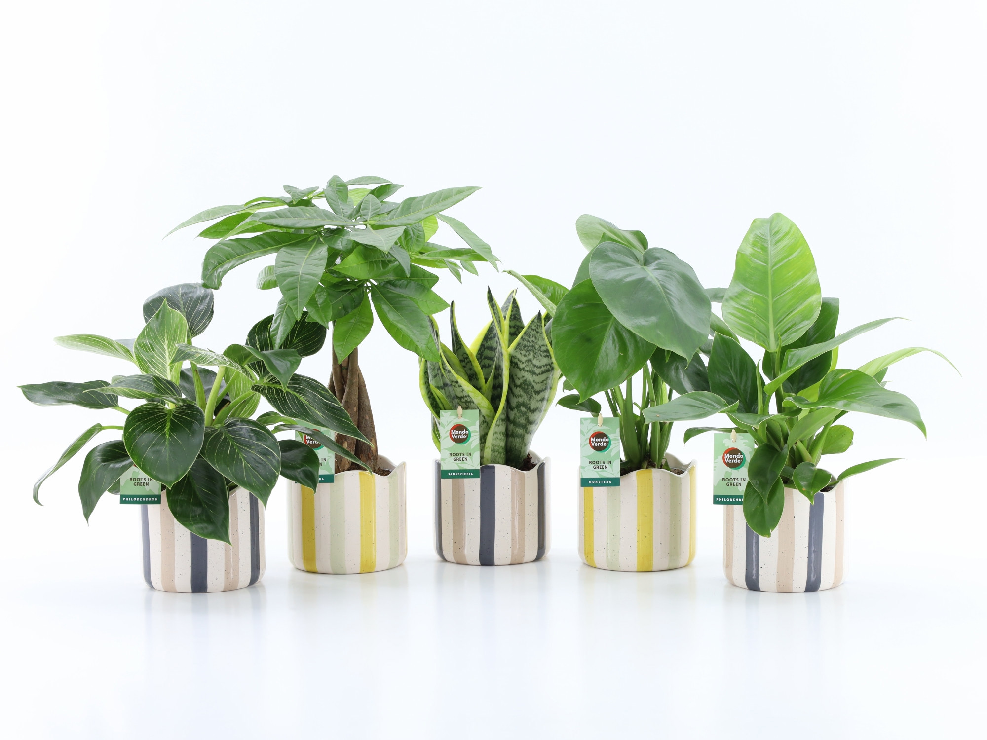 Tropic Mix in Nouveau keramiek, D 13