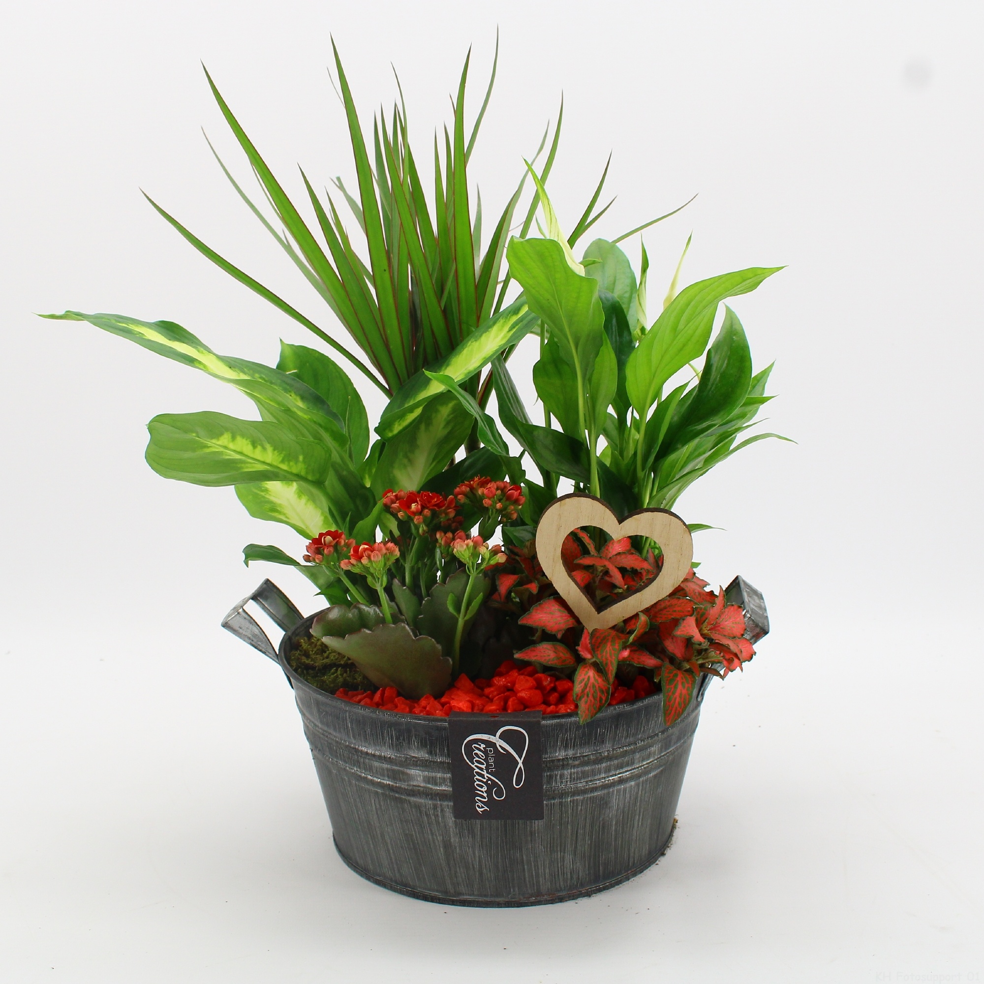 FDRM-2615R Romantic Fundamentals, D 23