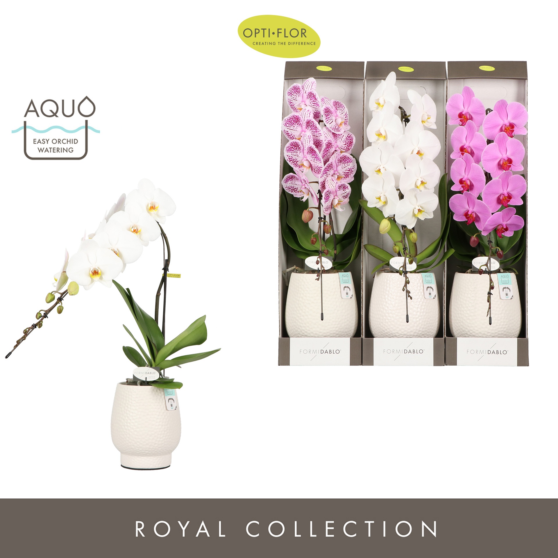 Formidablo Mix in Abruzzo White Aquo Showdoos, D 12