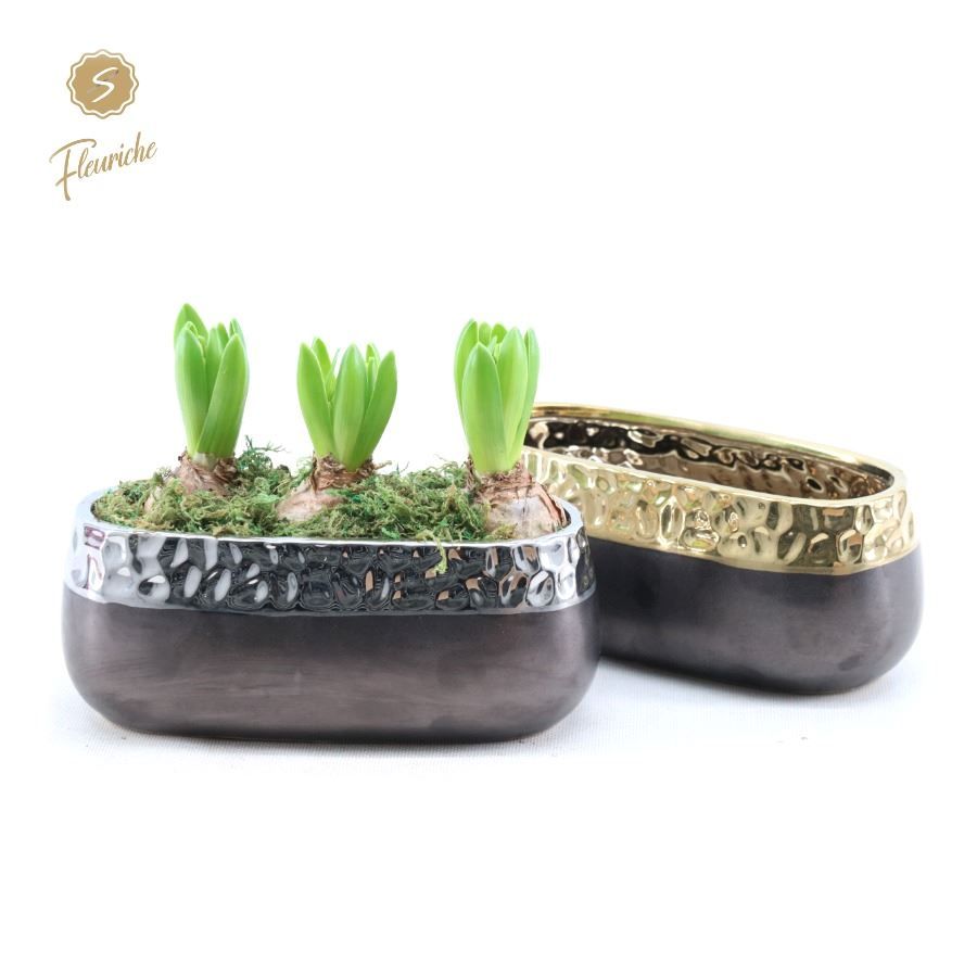 (3612) Hyacint Winter Chique [XL], D 26 cm