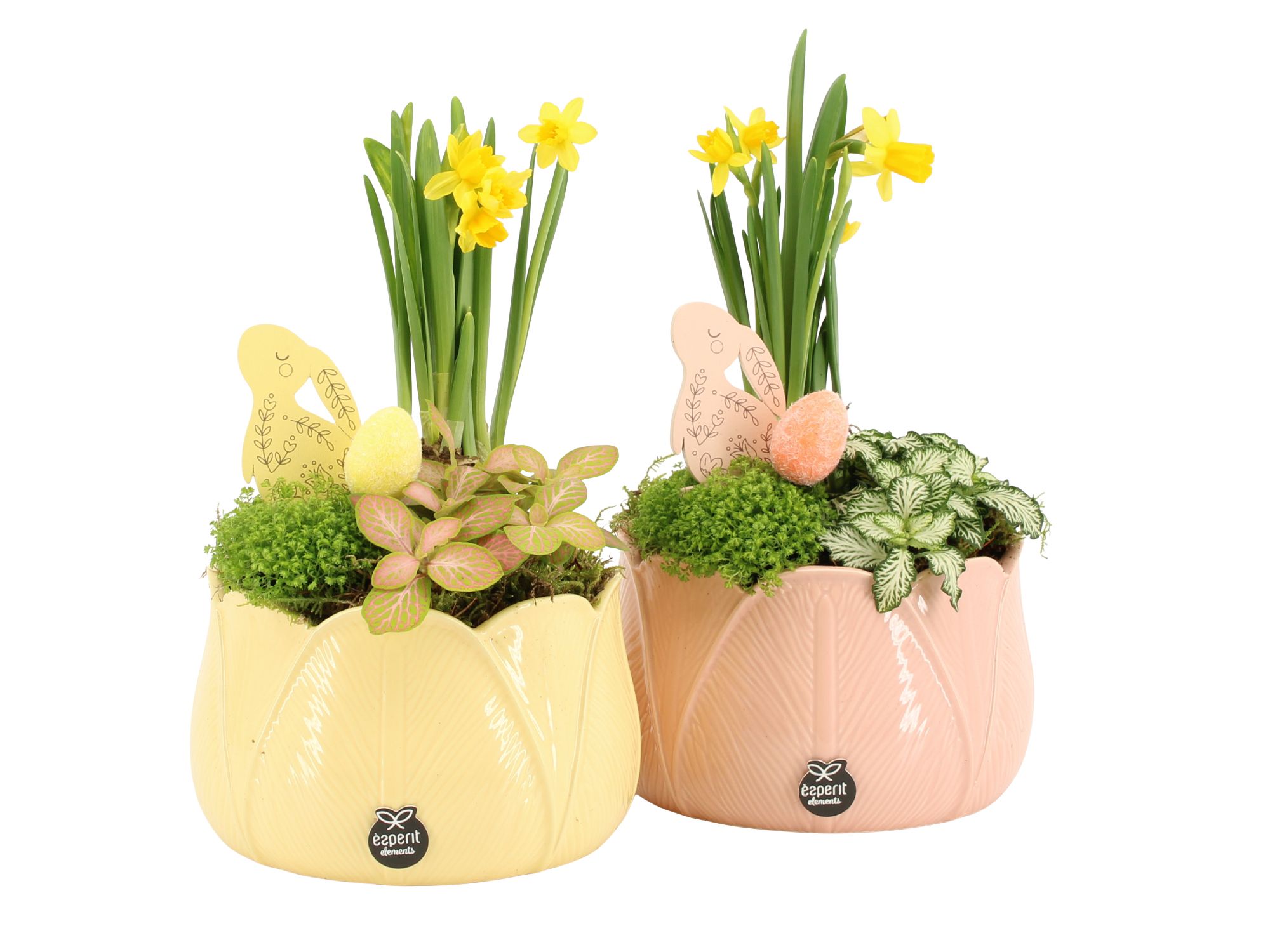 70847: Easter arrangement, D 16